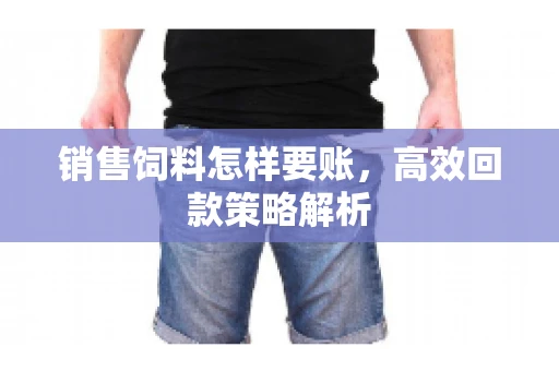 销售饲料怎样要账，高效回款策略解析