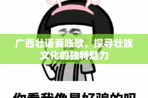 广西壮语要账歌，探寻壮族文化的独特魅力