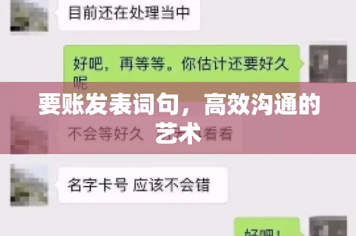 要账发表词句，高效沟通的艺术