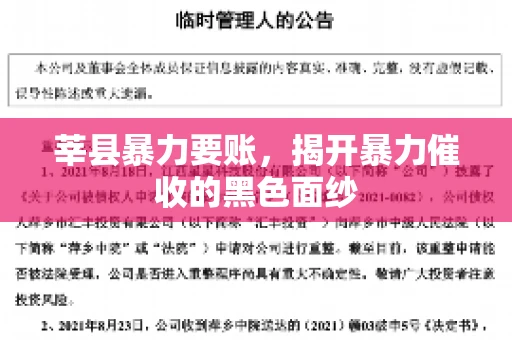 莘县暴力要账,揭开暴力催收的黑色面纱 莘县暴力要账,揭开暴力催收的黑色面纱