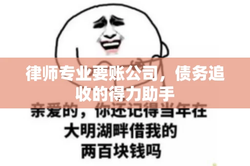 律师专业要账公司，债务追收的得力助手