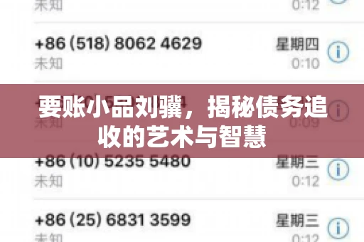 要账小品刘骥,揭秘债务追收的艺术与智慧 要账小品刘骥,揭秘债务追收的艺术与智慧