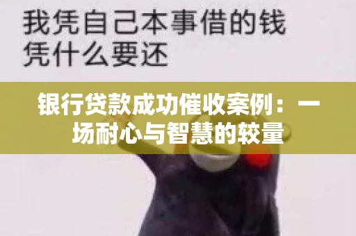 银行贷款成功催收案例：一场耐心与智慧的较量