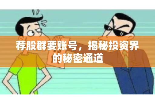 荐股群要账号，揭秘投资界的秘密通道