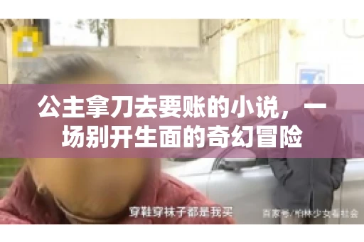 公主拿刀去要账的小说，一场别开生面的奇幻冒险