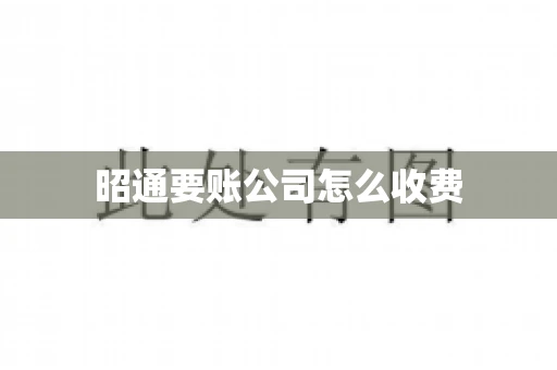 昭通要账公司怎么收费