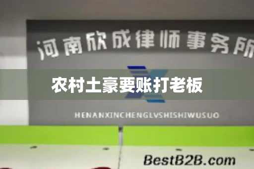 农村土豪要账打老板