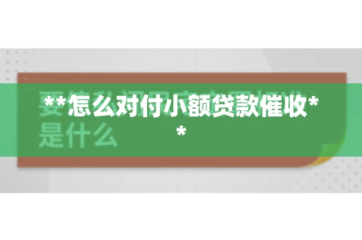 **怎么对付小额贷款催收**