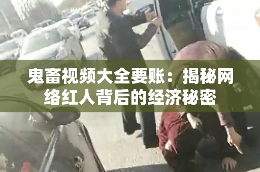 鬼畜视频大全要账：揭秘网络红人背后的经济秘密