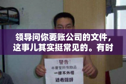领导问你要账公司的文件，这事儿其实挺常见的。有时候，你可能一头雾水，不知道从何下手。今天，我就来和大家聊聊这个话题，希望能帮到大家。