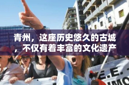 青州，这座历史悠久的古城，不仅有着丰富的文化遗产，也是商业活动频繁的地方。对于许多企业来说，应收账款的管理是日常运营中不可或缺的一环。那么，青州那里有要账的公司呢？今天，我们就来聊聊这个话题。