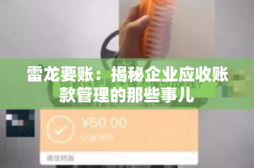 雷龙要账：揭秘企业应收账款管理的那些事儿