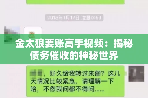 金太狼要账高手视频：揭秘债务催收的神秘世界