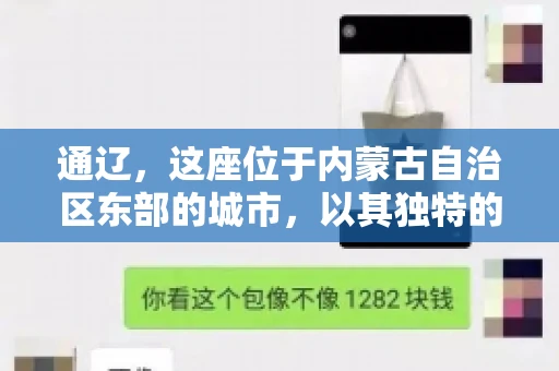 通辽，这座位于内蒙古自治区东部的城市，以其独特的地理位置和丰富的自然资源而闻名。然而，对于许多企业来说，通辽的另一个重要角色可能是其作为要账公司的聚集地。那么，通辽究竟有几家要账公司呢？今天，我们就来聊聊这个话题。