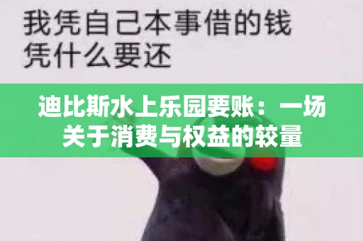 迪比斯水上乐园要账：一场关于消费与权益的较量