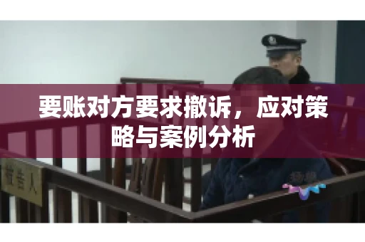 要账对方要求撤诉，应对策略与案例分析